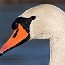 thumbs/IMG_1658.jpg